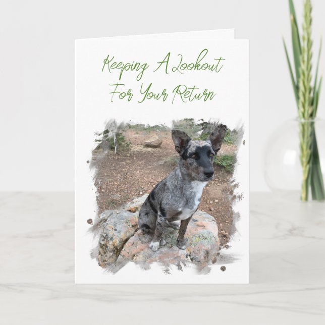 Platzhalter im Foto für Rinder Vermisst Vorlage (Vorderseite)