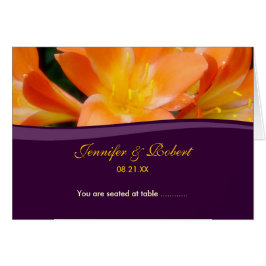 Platzkarte für lila und orangefarbene Sitze