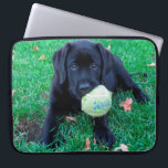 Play Ball - Labrador Puppy - Black Lab Laptopschutzhülle<br><div class="desc">All diese Black Lab Welpe will zu tun ist Ball spielen ! Play Ball - Original Artwork von Judy Burrows @ Black Dog Art</div>