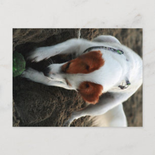 "Play Hard" Postkarte