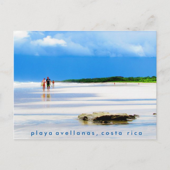 Playa Avellanas Beach Postcard Postkarte (Vorderseite)