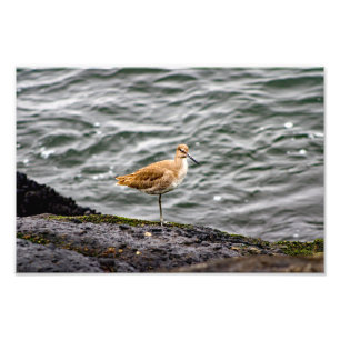 Playa Del Rey Fotodruck