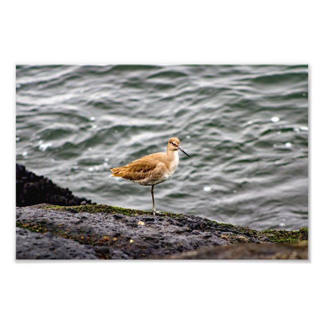 Playa Del Rey Fotodruck (Vorne)