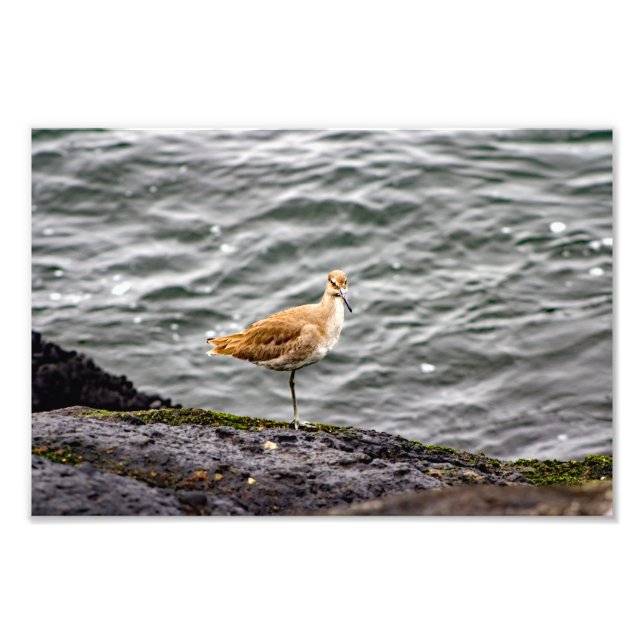 Playa Del Rey Fotodruck (Vorne)