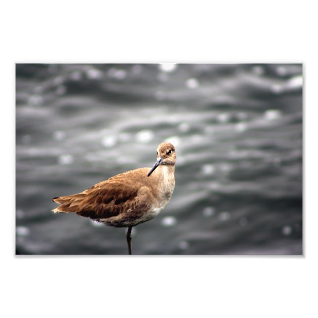 Playa Del Rey Fotodruck (Vorne)