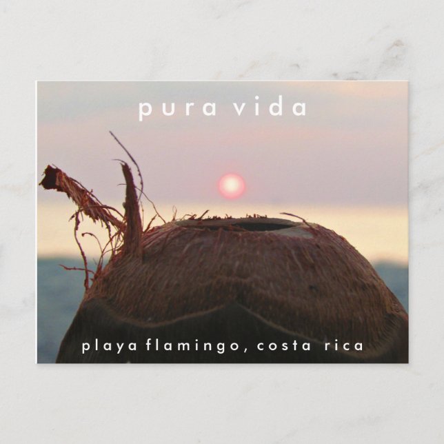 Playa Flamingo Sunset Coconut Costa Rica Postcard Postkarte (Vorderseite)
