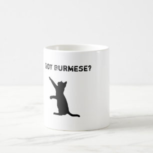 Playful birmanische Katze mit "got Birmane?" Text Kaffeetasse