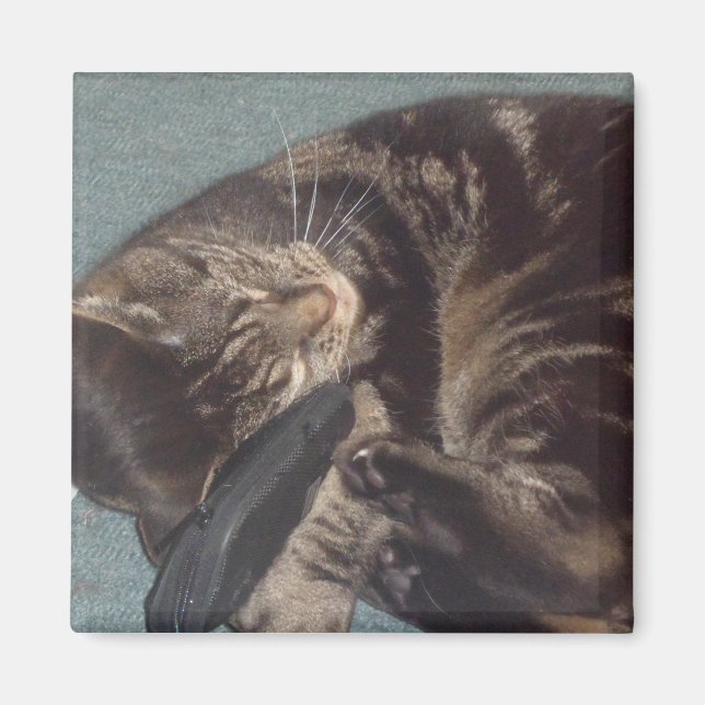 Playful Dave 5.1 Cm Square Magnet (Vorne)