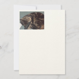 Playful Dave Artisan: Felt Ecru Einladungen