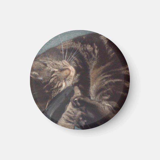Playful Dave Small, 3,2 cm Round Magnet (Vorne)