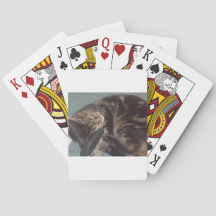 Playful Dave Spielkarten