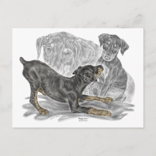Playful Doberman Pinscher Puppies Postkarte