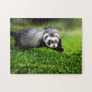 Playful Ferret Close-up, Jigsaw Puzzle