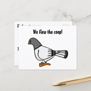 Playful Gray Pigeon Cartoon Neue Adresse Postkarte