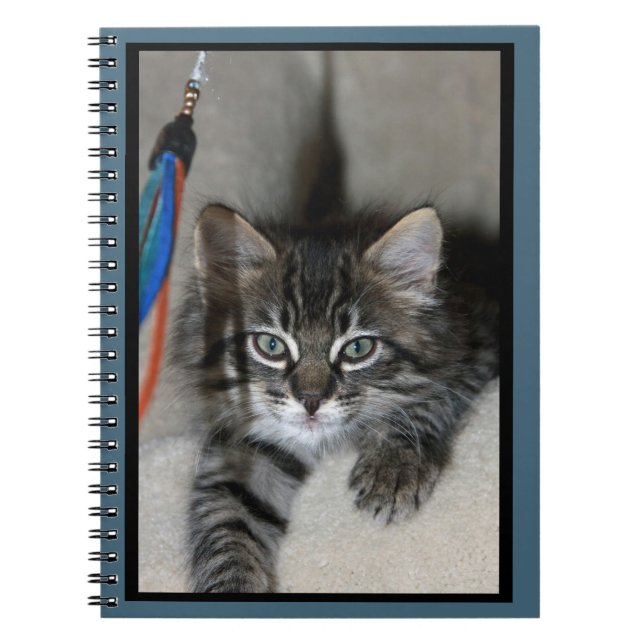 Playful Kitten Kimber Notebook Notizblock (Vorderseite)