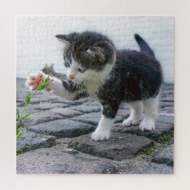 Playful Kitten Puzzle (Vertikal)