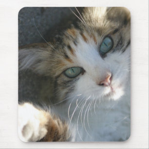 Playful Kitty Mousepad