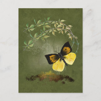 Playful Painful Butterfly - Postcard Postkarte