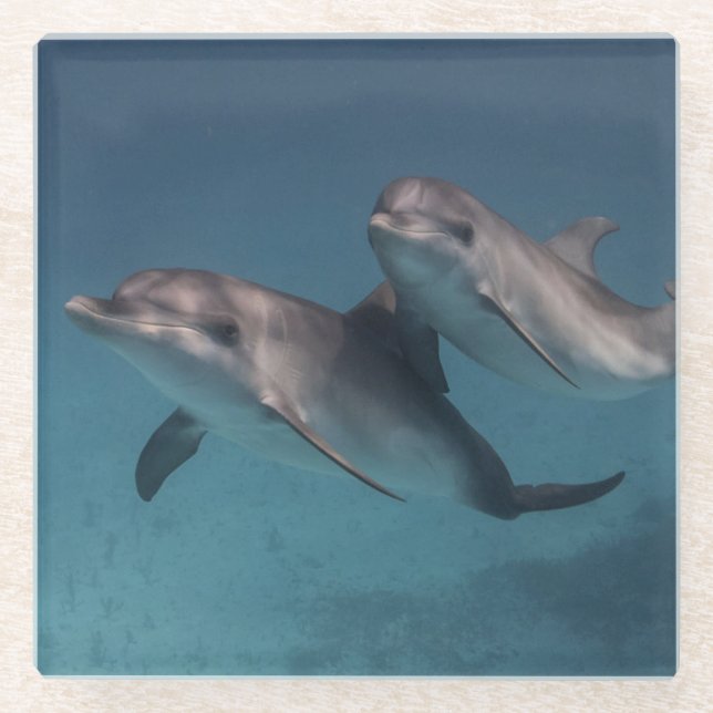 Playful Pose Glasuntersetzer (Vorderseite)