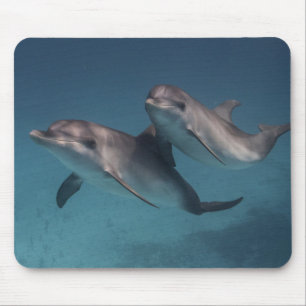 Playful Pose Mousepad