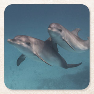 Playful Pose Rechteckiger Pappuntersetzer