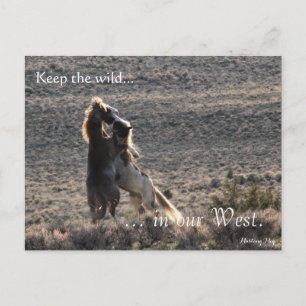 Playful, Pre-adressiert: Innenministerium Postkarte