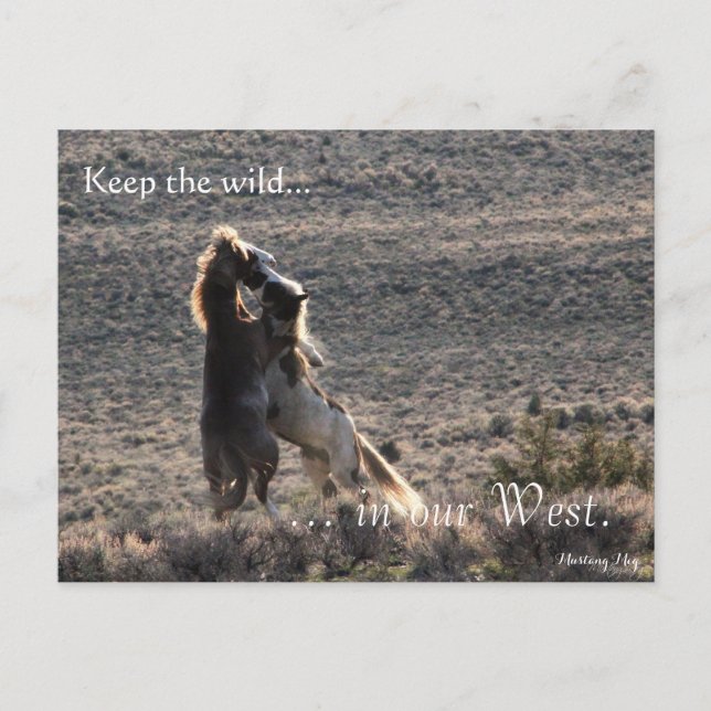 Playful, Pre-adressiert: Sec of the Interior Postkarte (Vorderseite)