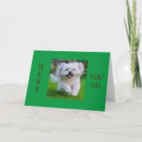 PLAYFUL PUP SAGT "1. TAG KINDERGARDEN"