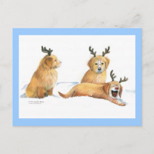 Playful Puppies Weihnachten Postcard