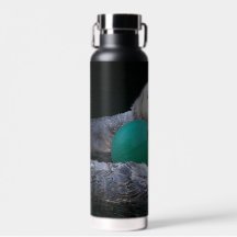 Playful Sea Otters Foto