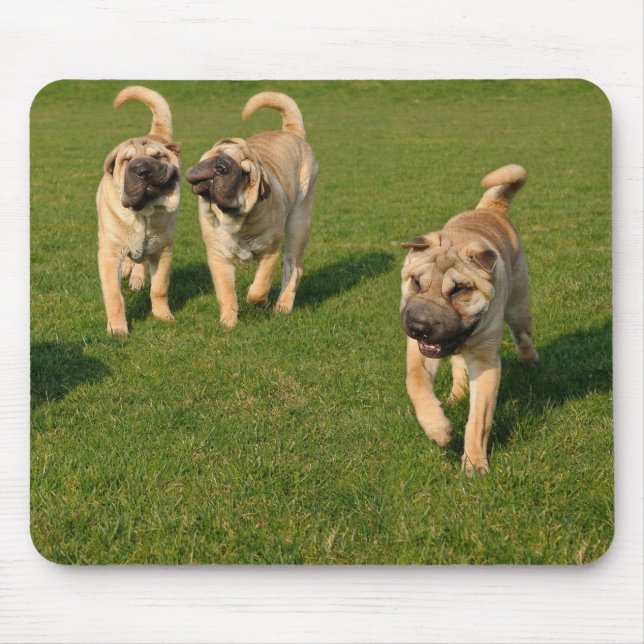 Playful Shar Pei Welppies Mousepad (Vorne)