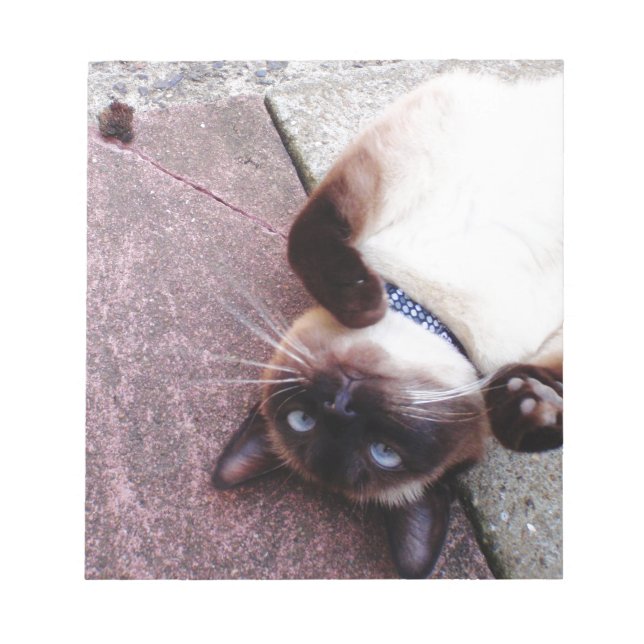 Playful Siamese Notizblock (Vorderseite)