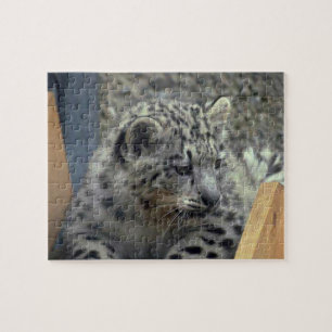 Playful Snow Leopard Baby Puzzle