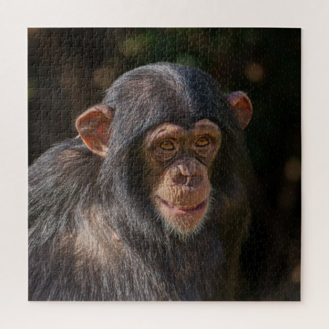 Playful Soul – Baby Chimpanzee Close-Up Puzzle (Vertikal)