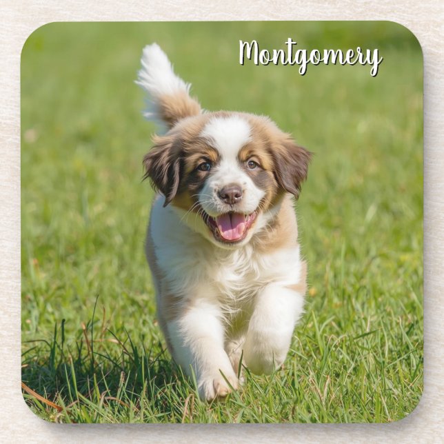 Playful St. Bernard Personalisiert Untersetzer Set (Vorderseite)
