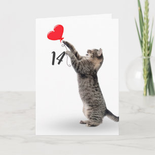 playful tabby cat for 14th birthday card karte