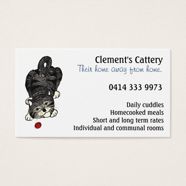 Playful Tabby Kitten (Vorderseite)