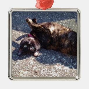 Playful Tortoiseshell Cat Silbernes Ornament