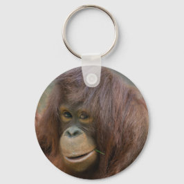 Playful Young Orangutan Baby Schlüsselanhänger
