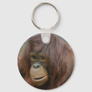 Playful Young Orangutan Baby Schlüsselanhänger