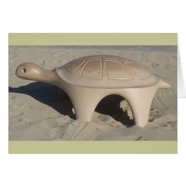 Playground Turtle (Vorderseite (Horizontal))
