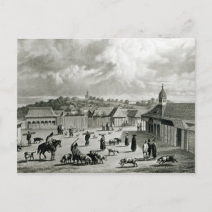 Plaza de San Carlos de Chiloe, 1835 ] Postkarte