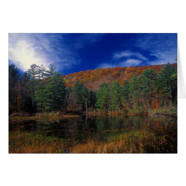 Pleasant Valley Wildlife Sanctuary Pike (Vorderseite (Horizontal))