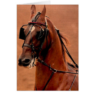 Pleasure Harness Saddlebred Digitale Kunst