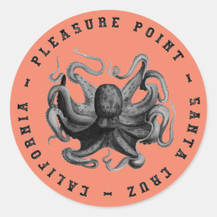 Pleasure Point, Santa Cruz Octopus Classic Round Runder Aufkleber