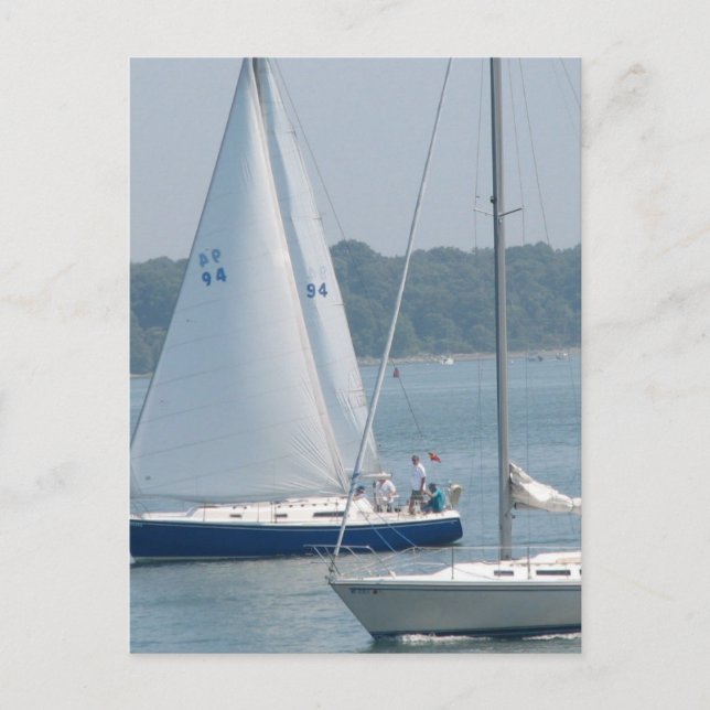 Pleasure Segel Postkarten (Vorderseite)