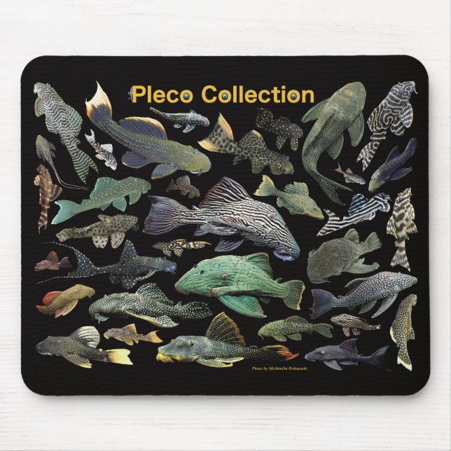 Pleco collection mousepad (Vorne)