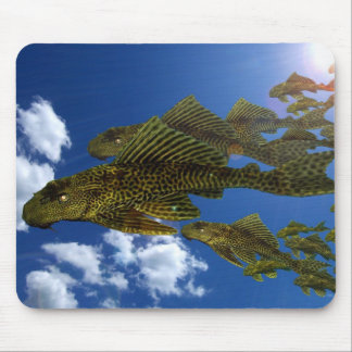 Pleco Migration #2 Mousepad