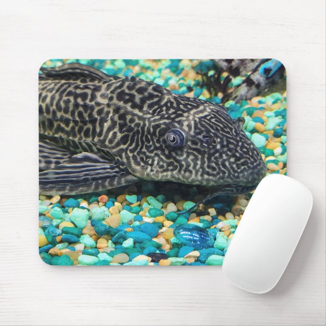 Plecostomus auf Kies Mousepad (Mit Mouse)