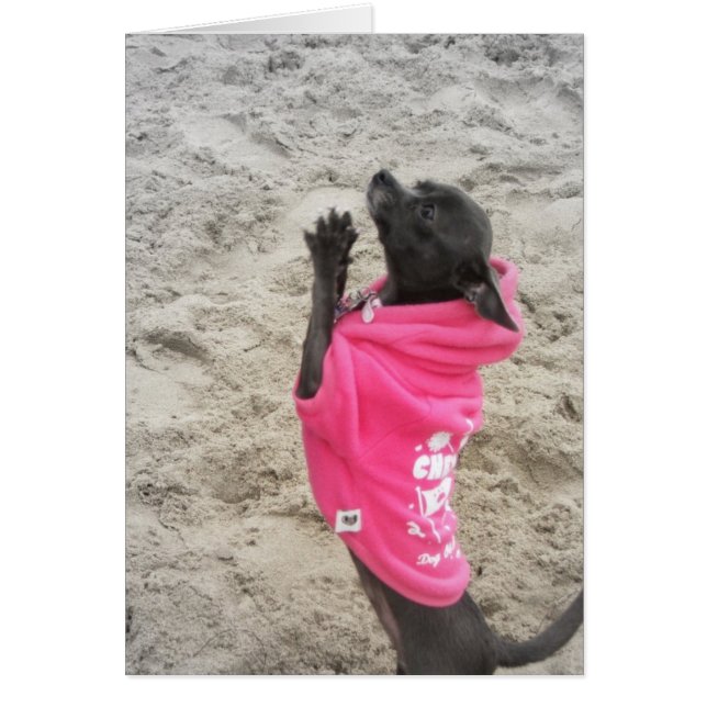 PLeeaasssee!! (Vorne)